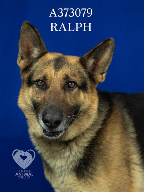 RALPH Image