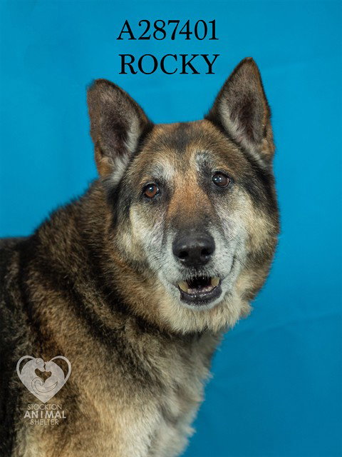 ROCKY Image