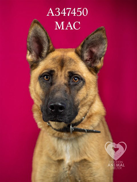 MAC