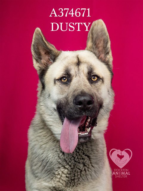 DUSTY