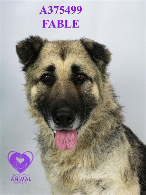 FABLE