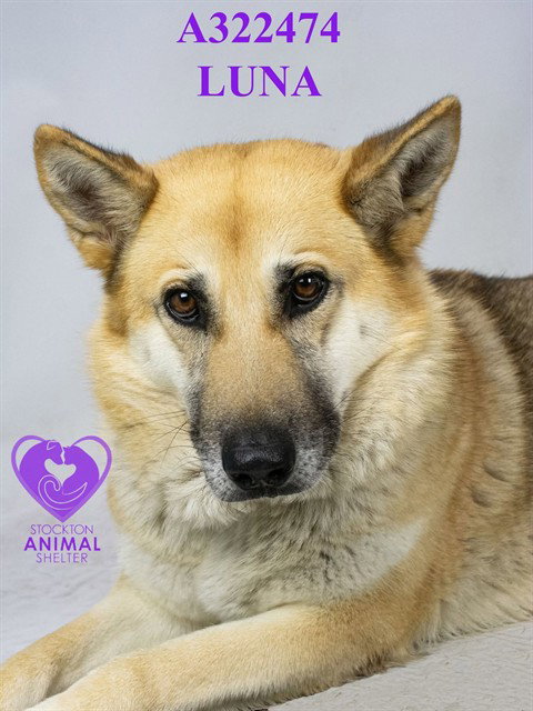LUNA