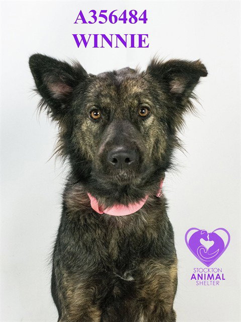 WINNIE