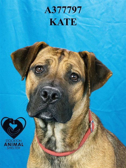 Kate