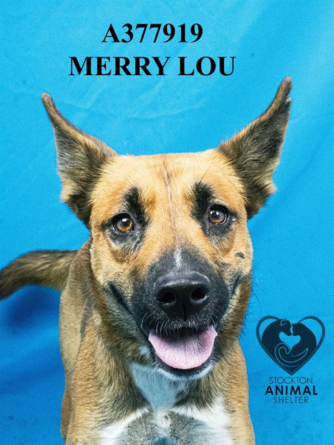 MERRY LOU Image