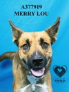 MERRY LOU - Photo 1