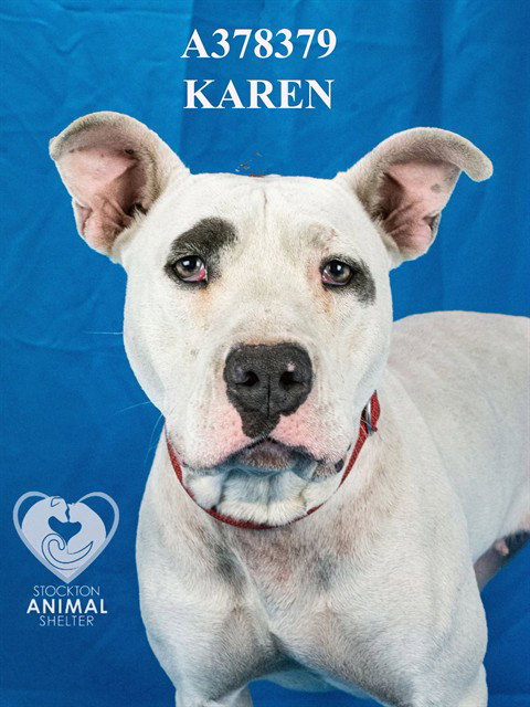 Karen