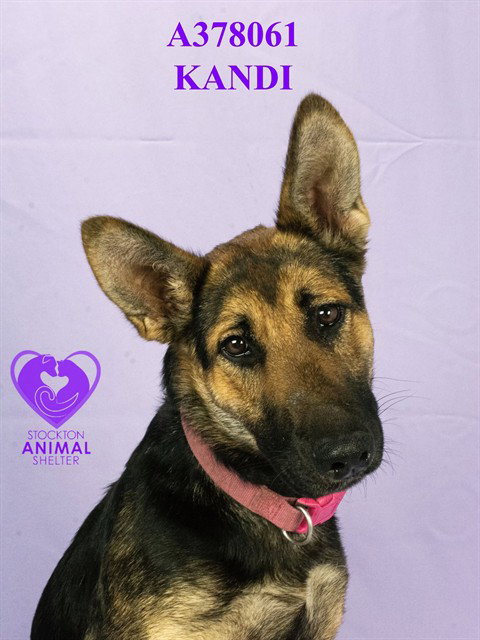 Kandi