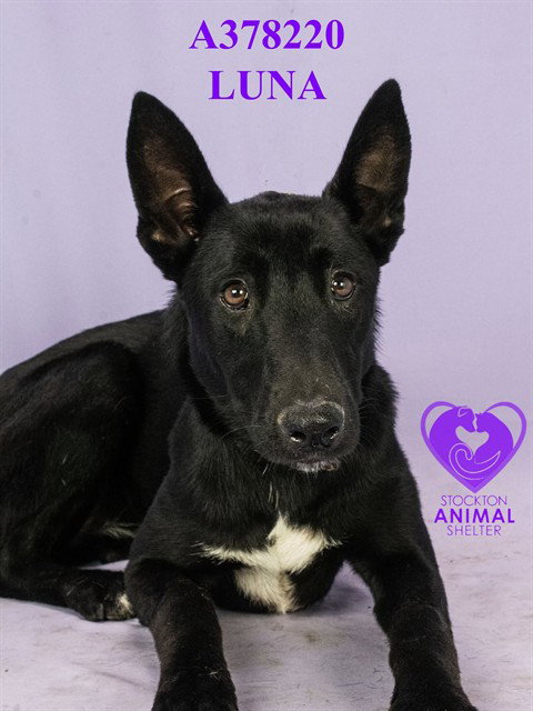 Luna