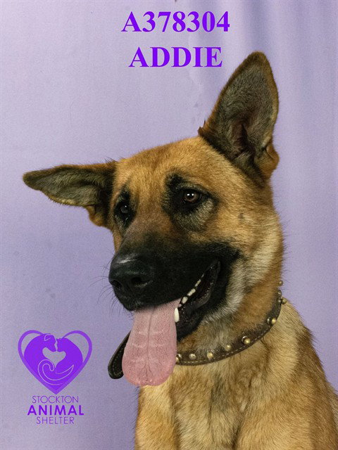 ADDIE
