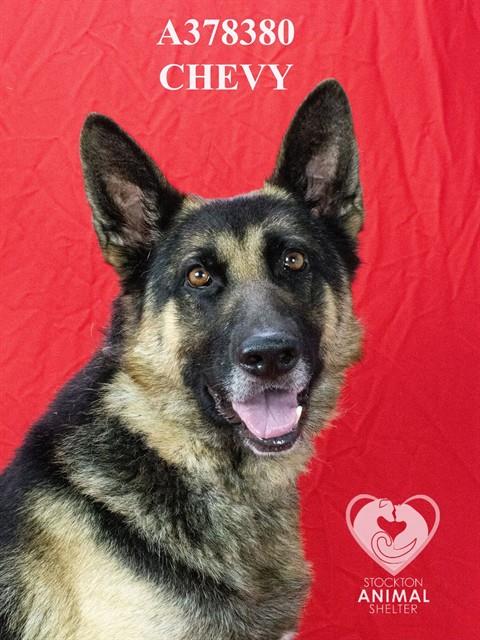 CHEVY