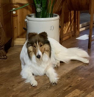 FINN