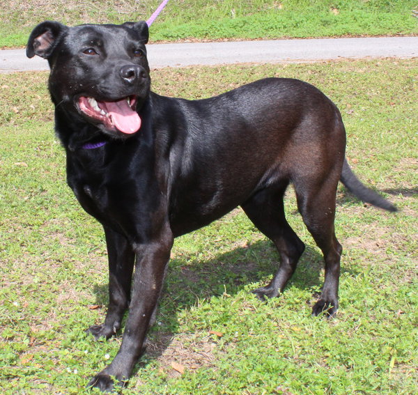 Sadie 36362