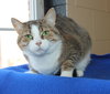 Sasha - 26949 - Photo 1