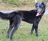 Whiskey 42211 - Photo 2