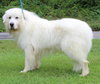 Yeti 42184 - Photo 1