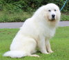 Yeti 42184 - Photo 2