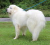Yeti 42184 - Photo 3