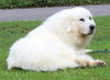 Yeti 42184 - Photo 4