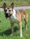 Reeses 42286 - Photo 1
