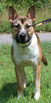 Reeses 42286 - Photo 3
