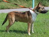 Reeses 42286 - Photo 4