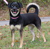 Journey 42669 - Photo 1
