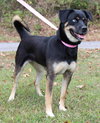 Journey 42669 - Photo 2