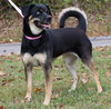 Journey 42669 - Photo 3