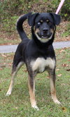Journey 42669 - Photo 4
