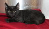 Finley - 42738 - Photo 1