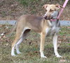 Dalilah 42803 - Photo 1