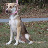 Dalilah 42803 - Photo 2