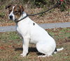 Aura 42797 - Photo 3