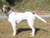 Aura 42797 - Photo 4