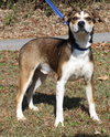Jake 42765 - Photo 1