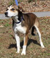 Jake 42765 - Photo 2