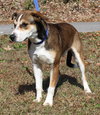 Jake 42765 - Photo 3