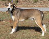 Jake 42765 - Photo 4