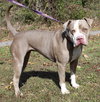 Maggie 42860 - Photo 1