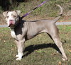 Maggie 42860 - Photo 2
