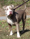 Maggie 42860 - Photo 3