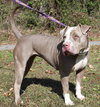 Maggie 42860 - Photo 4