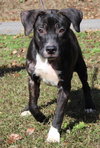 Billy 42560 - Photo 1