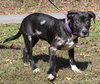 Billy 42560 - Photo 3