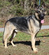 Reom 42723 - Photo 3