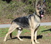 Reom 42723 - Photo 4