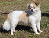 Lucy 42902 - Photo 1
