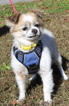 Lucy 42902 - Photo 2