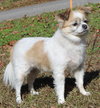 Lucy 42902 - Photo 3